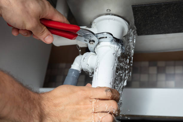 Best Water damage mitigation services  in Easton, MD