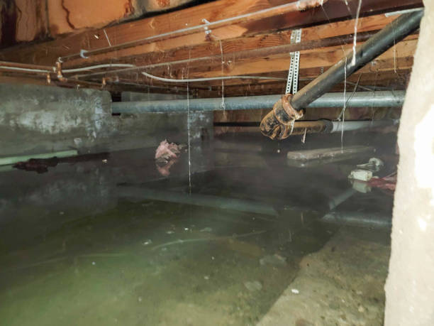 Sewage cleanup and water damage restoration in MD