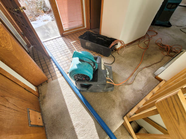 Best Water damage contractors near me  in Easton, MD