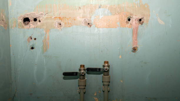 Best Flood restoration services  in Easton, MD