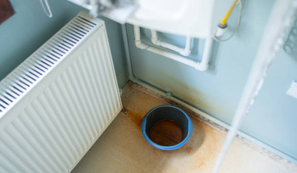 Best Local water damage restoration  in Easton, MD