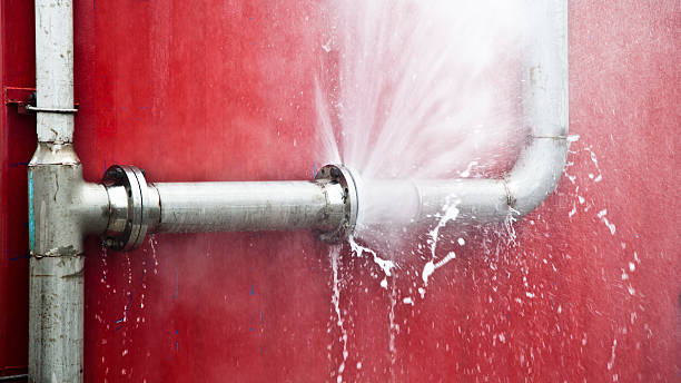 Best Flooded house restoration  in Easton, MD